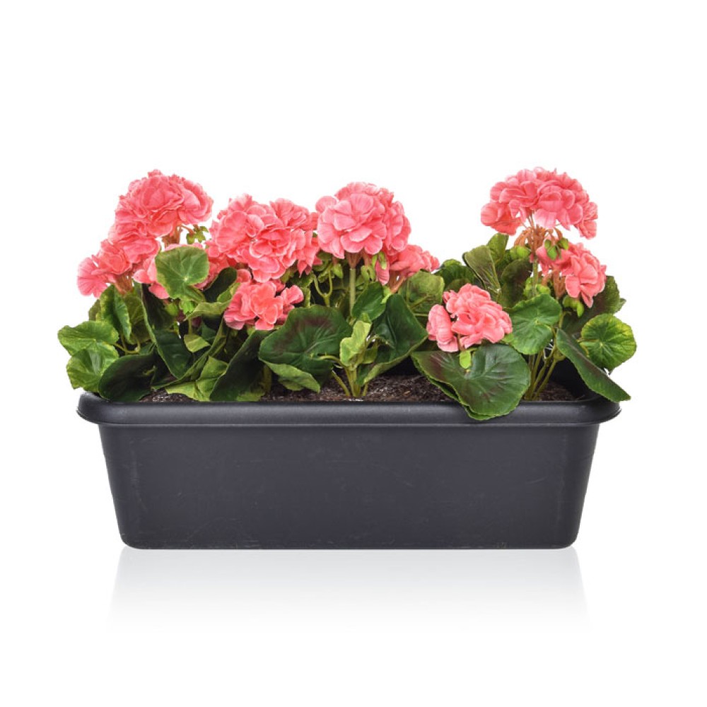 Pink Geraniums in Black Trough Artificial Plants